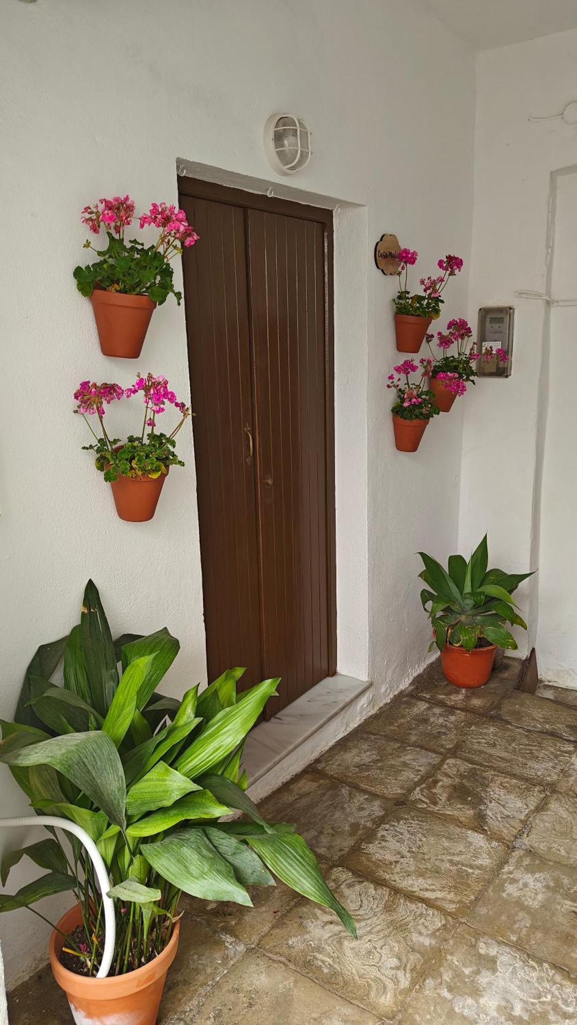 Casa Malia Apartamento Recien Reformado En Centro Vejer de la Frontera Exterior foto